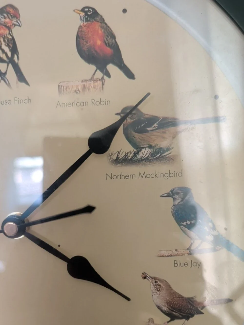 Vintage Singing Bird Dial Wall Clock in Dark Green 13